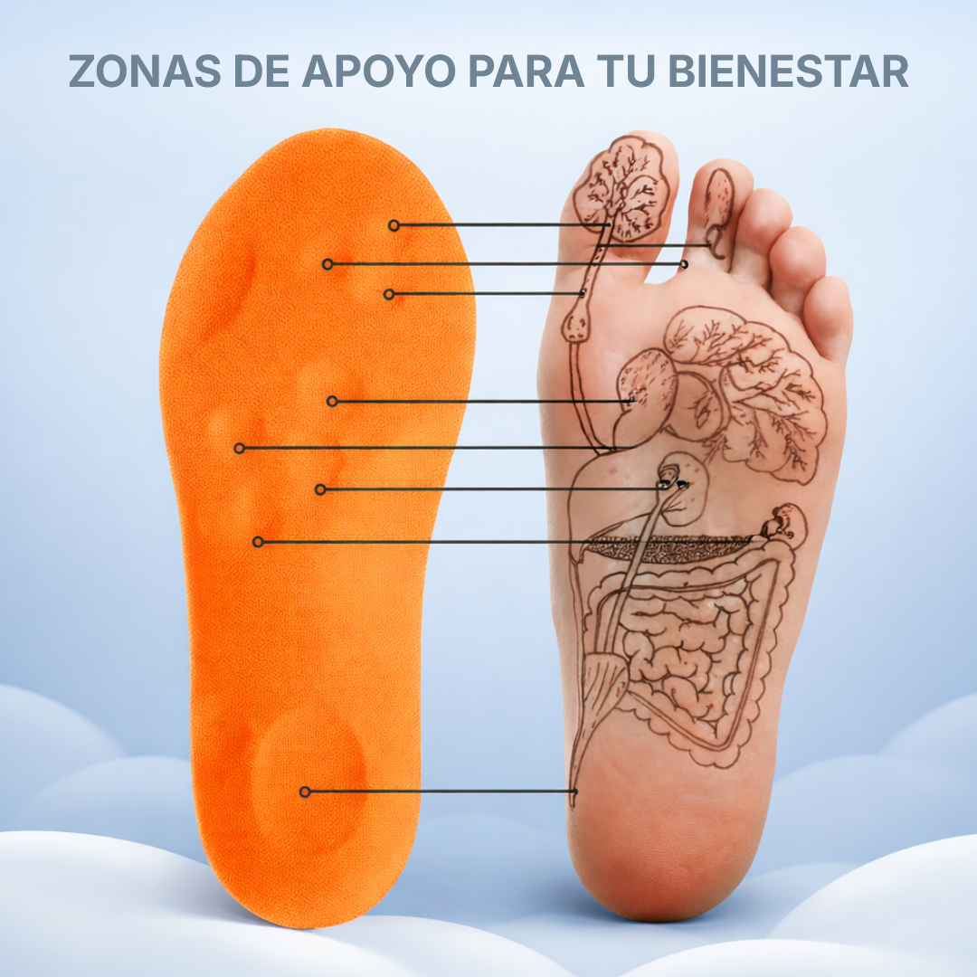 Plantillas Acolchadas de Confort